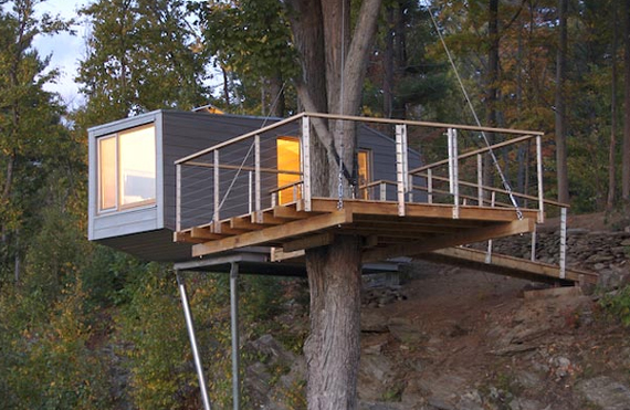 Shipping Container Tree House